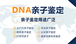 惠州正规的亲子鉴定检测服务机构，惠州正规的DNA鉴定大概价格