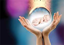 惠州胎儿怎么做亲子鉴定，惠州无创孕期亲子鉴定收费明细